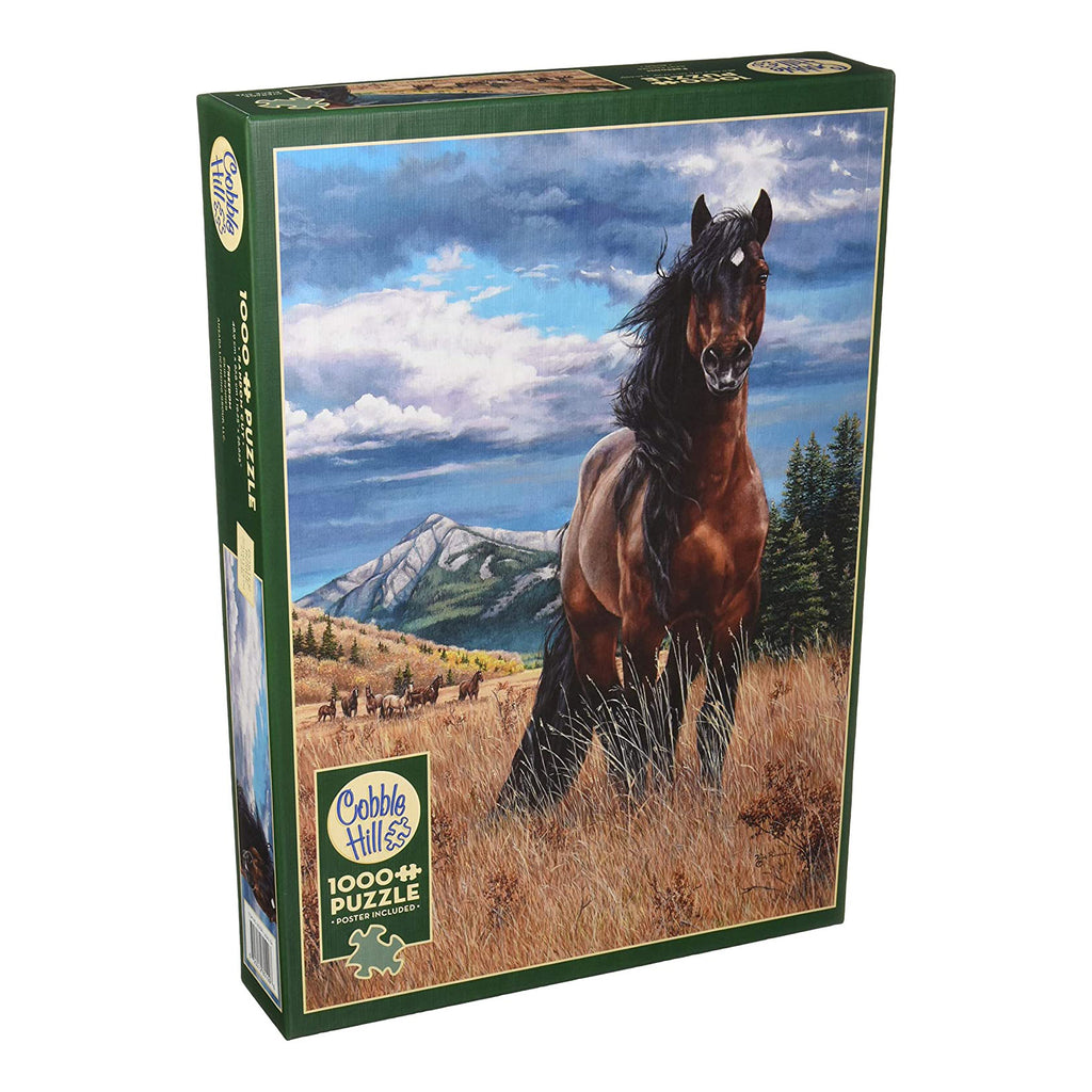 Freedom 1000-Piece Puzzle OLD BOX