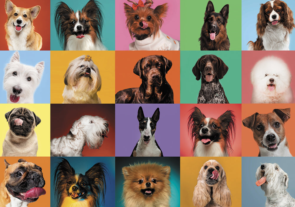 Dog Portraits 1000-Piece Puzzle