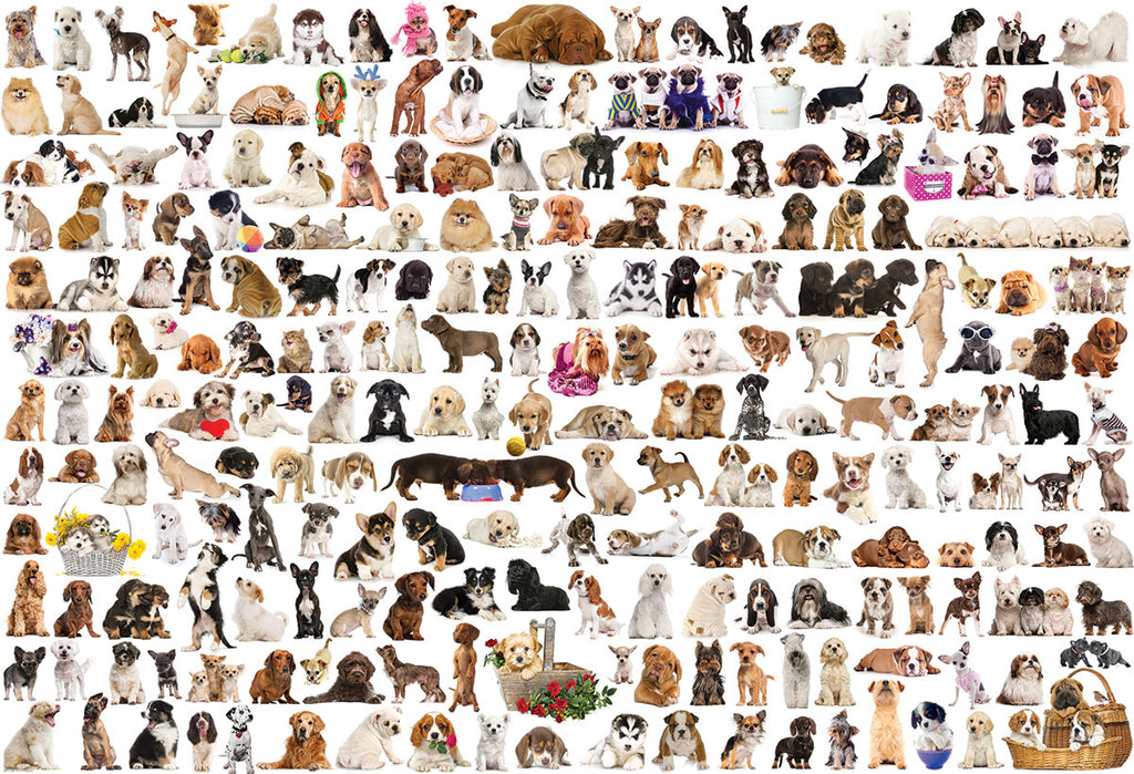 The World of Dogs 2000-Piece Puzzle