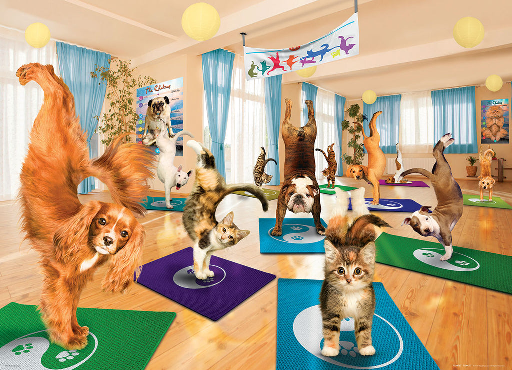 Studio de yoga<br>Casse-tête de 300 pièces