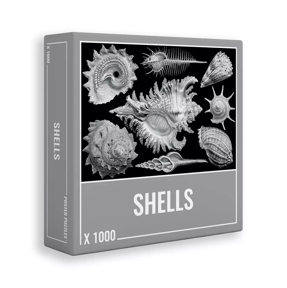 Shells 1000-Piece Puzzle