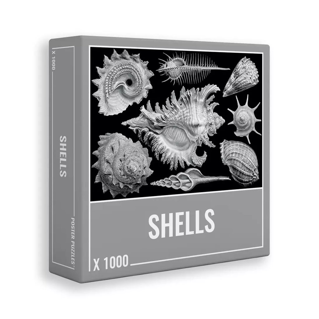Shells<br>Casse-tête de 1000 pièces