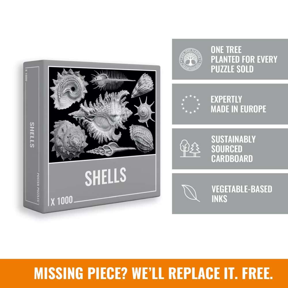 Shells 1000-Piece Puzzle